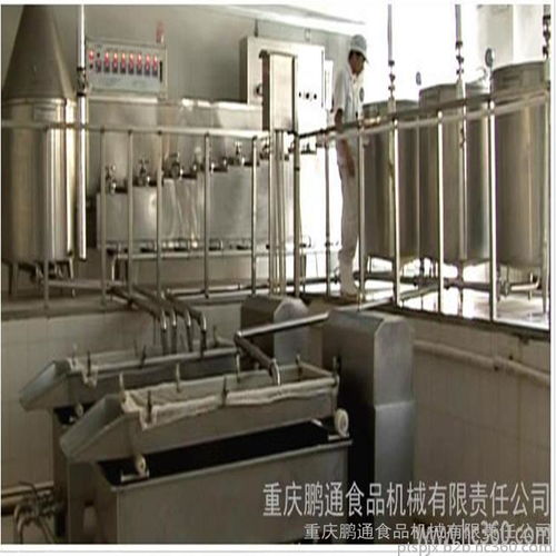 重庆鹏通食品机械 高效稳定的豆腐干生产线解决方案